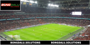 Football Pitch Chuẩn Quốc Tế Và Những Điều Ít Ai Biết
