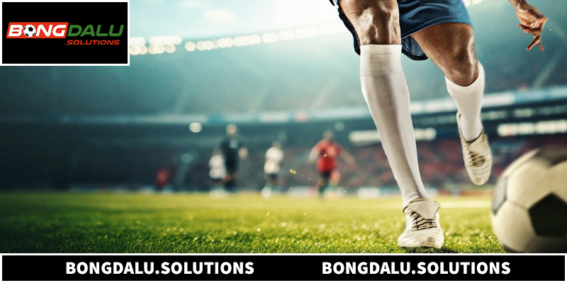 Những dữ liệu quan trọng khi soi kèo Bongdalu